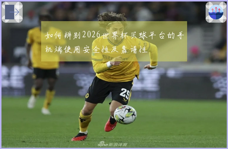 如何辨别2026世界杯买球平台的手机端使用安全性及靠谱性