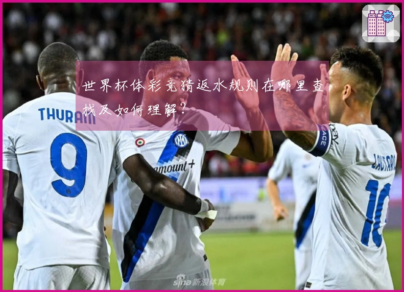 老哥网体育资讯图片