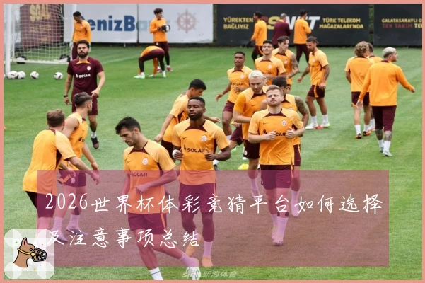 2026世界杯体彩竞猜平台如何选择及注意事项总结