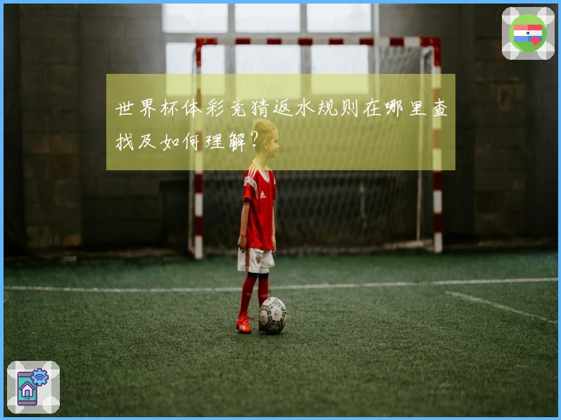 世界杯体彩竞猜返水规则在哪里查找及如何理解？