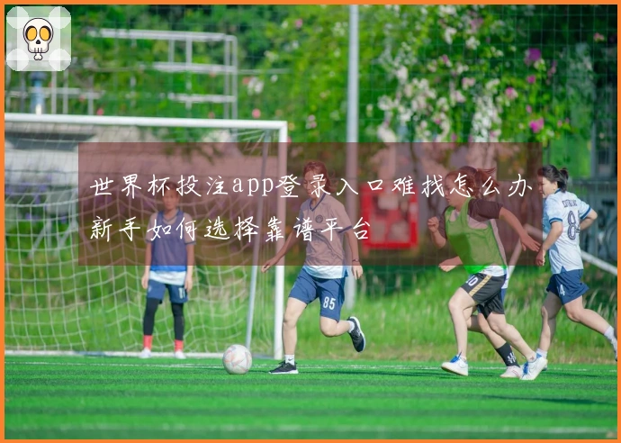 世界杯投注app登录入口难找怎么办新手如何选择靠谱平台