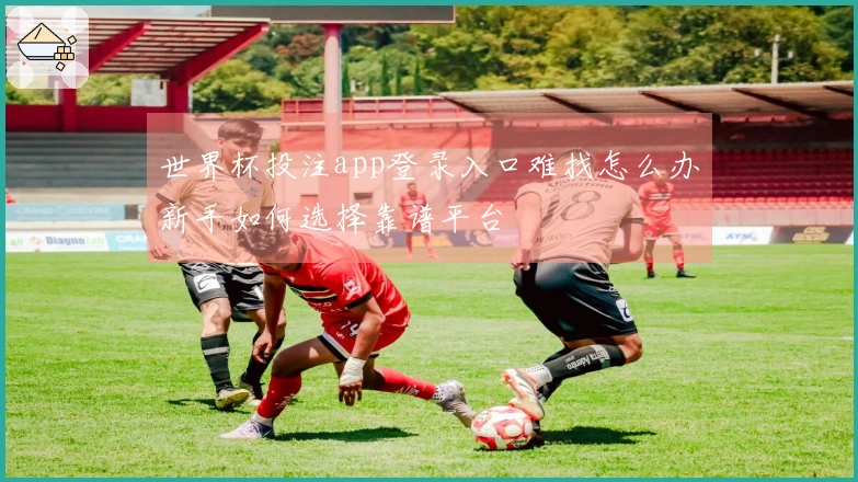 世界杯投注app登录入口难找怎么办新手如何选择靠谱平台
