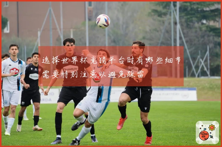 选择世界杯竞猜平台时有哪些细节需要特别注意以避免踩雷