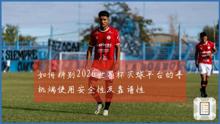 如何辨别2026世界杯买球平台的手机端使用安全性及靠谱性
