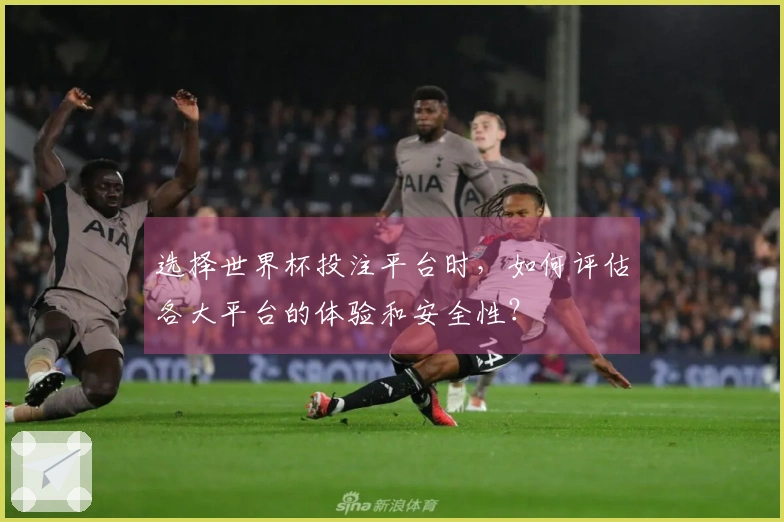 选择世界杯投注平台时，如何评估各大平台的体验和安全性？