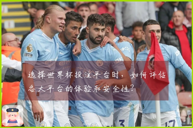 选择世界杯投注平台时，如何评估各大平台的体验和安全性？