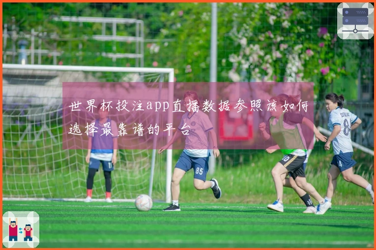 老哥网体育资讯图片